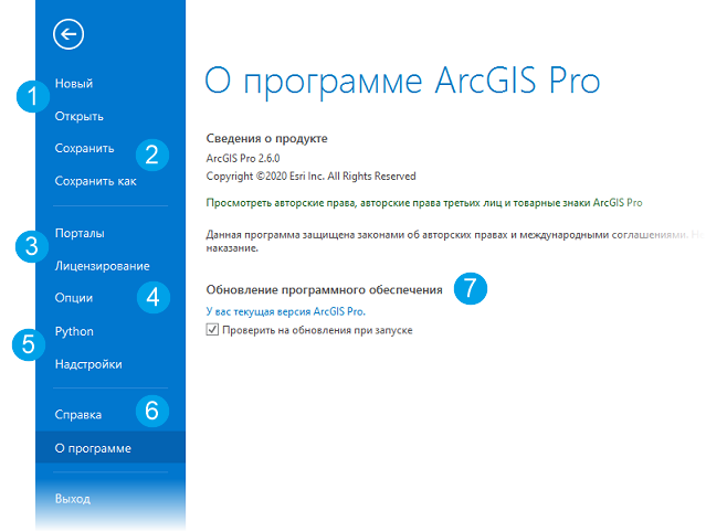 Страница настроек ArcGIS Pro