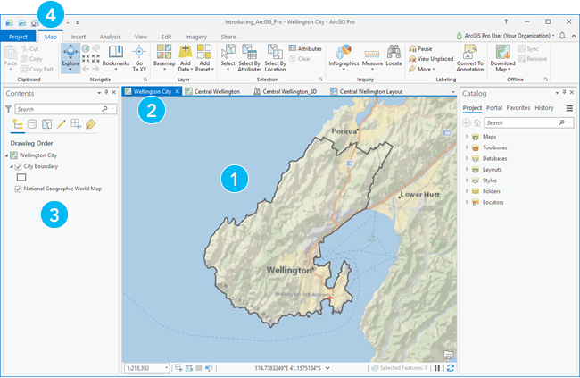 Приложение ArcGIS Pro с активным видом карты