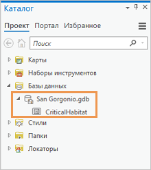 Панель каталога, в которой показаны база геоданных проекта и класс объектов