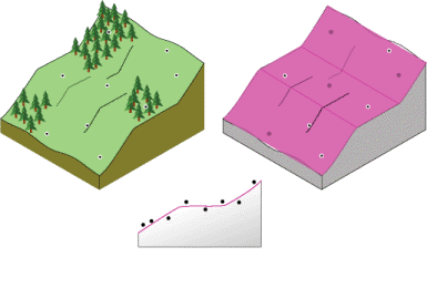 Интерполяция по методу локального полинома (Local Polynomial Interpolation)