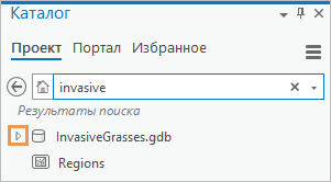 Панель каталог показывает результаты поиска, содержащие базу геоданных