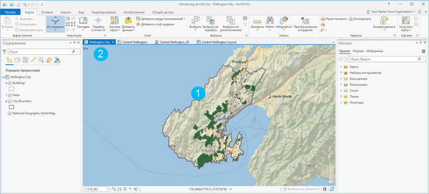 Приложение ArcGIS Pro с активным видом карты