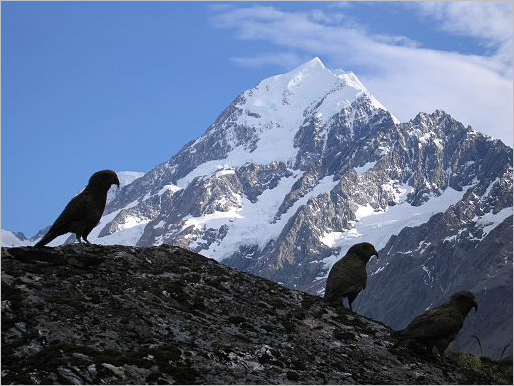 Фото Aoraki/Гора Кука