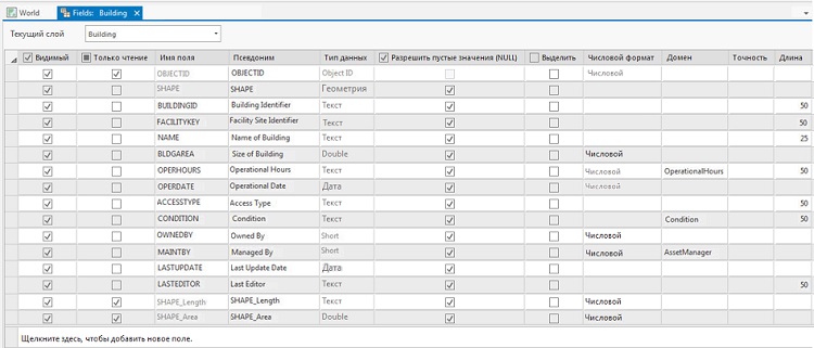 Вид полей для слоя Building модели данных Campus Editing