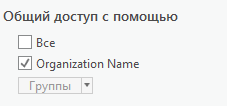 Опции публикации для шаблона проекта