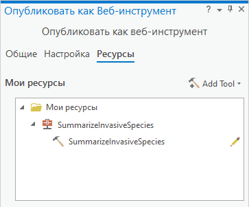 Вкладка Ресурсы на панели Опубликовать как веб-инструмент.