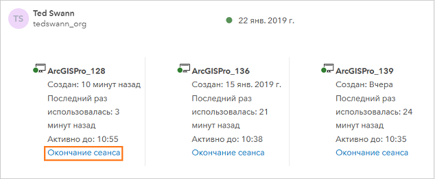 Информация об активном сеансе участника