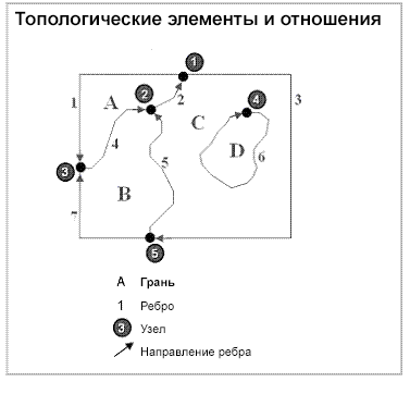 Топологический линейный граф узлов, граней и ребер