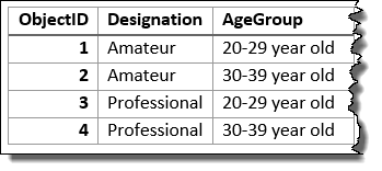 Входной слой, суммированный с использованием полей Designation и Age Group