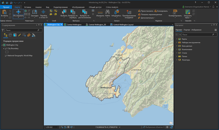 ArcGIS Pro с настройками темной темы