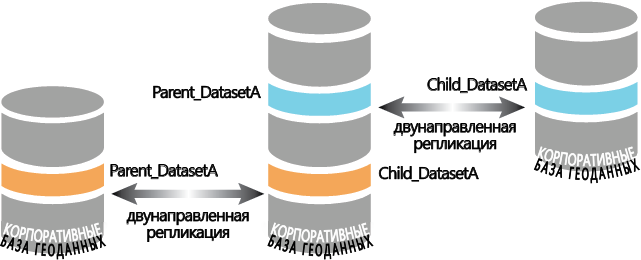 Многопользовательская база геоданных выступает в роли как дочерней, так и родительской реплики базы геоданных
