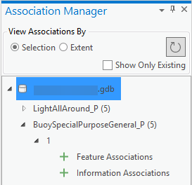 Association Manager individual features