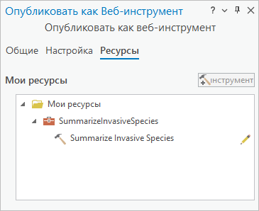 Вкладка Ресурсы на панели Опубликовать как веб-инструмент.