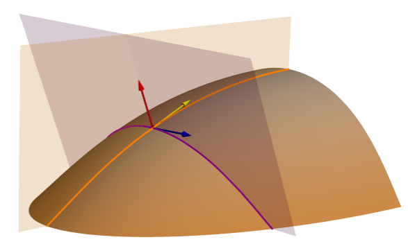 Плоскости профильной и тангенциальной кривизны