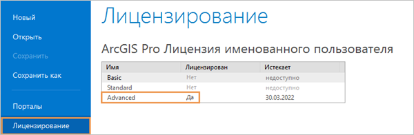 Страница Лицензирование в Настройках ArcGIS Pro