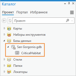 Панель каталога, в которой показаны база геоданных проекта и класс объектов.