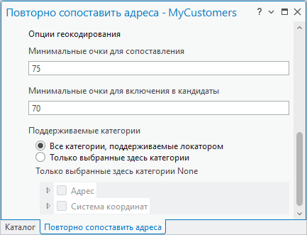 Опции геокодирования на панели Повторно сопоставить адреса
