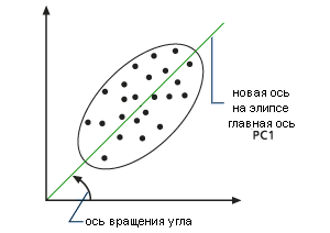 Первая главная компонента