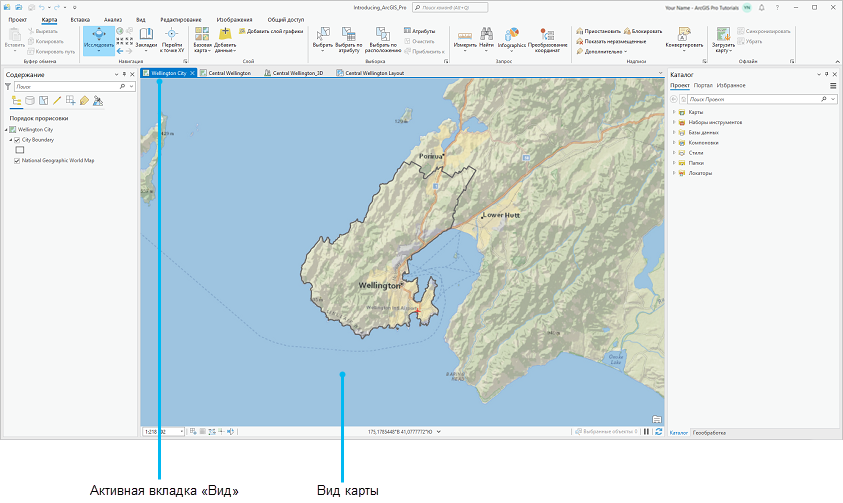 Пользовательский интерфейс ArcGIS Pro