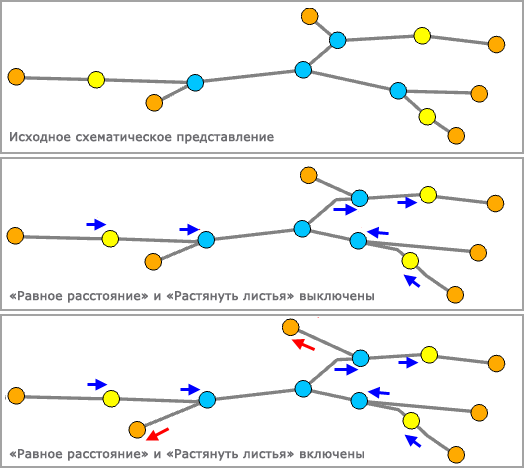 Пространственное распределение – Растянуть листья