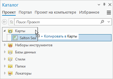 Карта, скопированная в контейнер Карты на панели Каталог