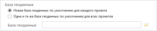 Опции базы геоданных для создания новых проектов