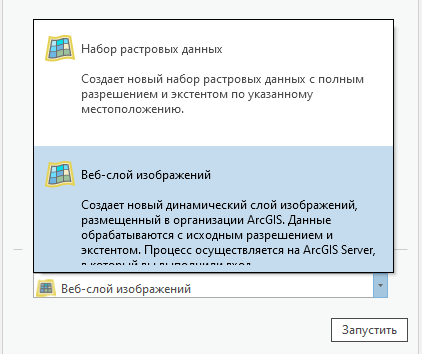 Опция Веб-слой изображений в ниспадающем списке Выходной тип