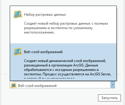 Опция Веб-слой изображений в ниспадающем списке Выходной тип Опция Веб-слой изображений в ниспадающем списке Выходной тип