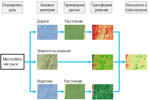 Рабочий процесс создания поверхности стоимости Рабочий процесс создания поверхности стоимости