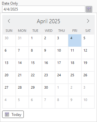 Элемент управления Только дата Элемент управления Только дата