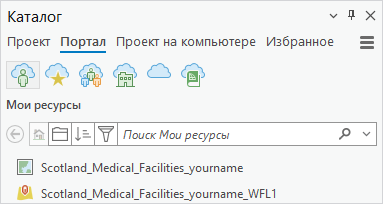 Панель Каталог с отображением веб-карты