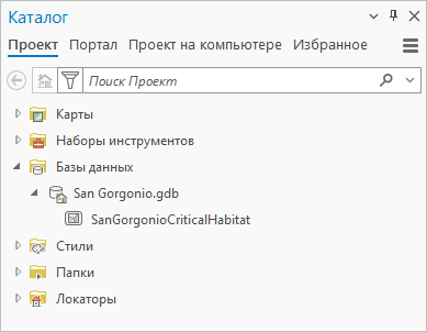 Панель каталога, в которой показаны база геоданных проекта и класс объектов.