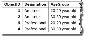 Входной слой, суммированный с использованием полей Designation и Age Group