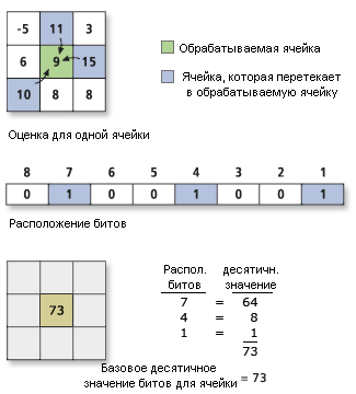 Пример ячейки фокального стока