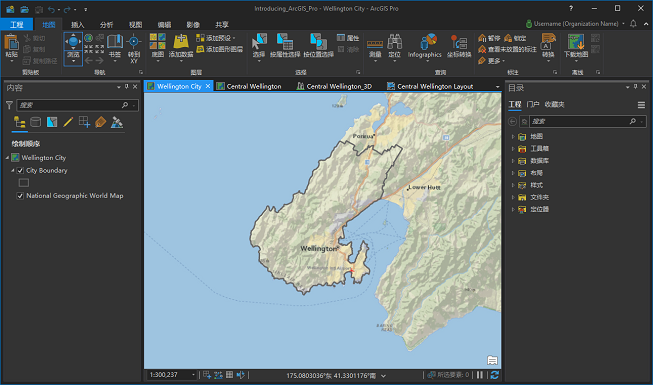 应用深色主题设置的 ArcGIS Pro