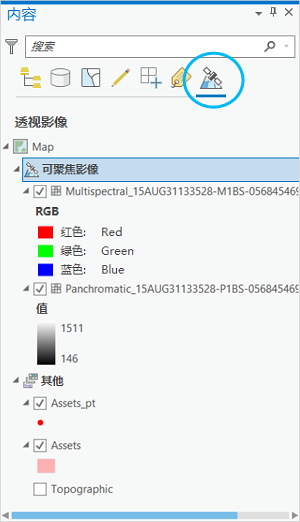 “内容”窗格中的“按透视影像列出”按钮