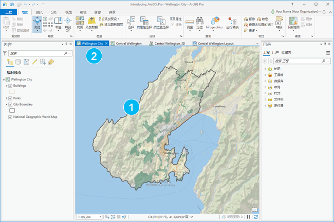 包含活动地图视图的 ArcGIS Pro 应用程序