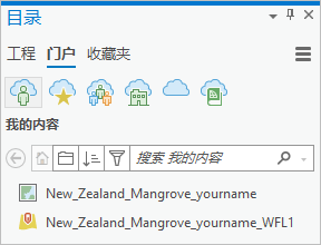 目录窗格显示 web 地图