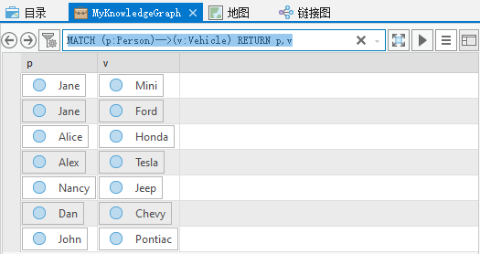 查询结果显示在调查视图中。