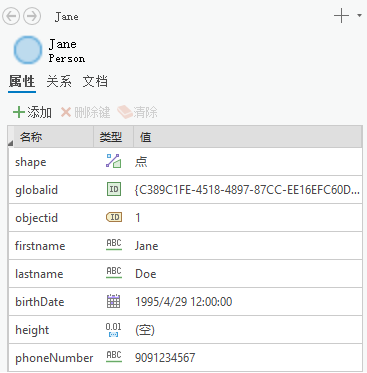 在调查的详细信息面板中查看实体的属性。