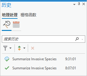 具有地理处理工具条目的“历史记录”窗格