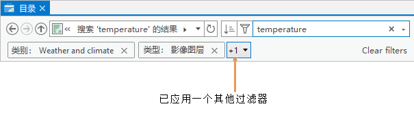 目录窗格显示了两个活动过滤器的文本以及带有下拉箭头的按钮，而该按钮指示第三个活动过滤器