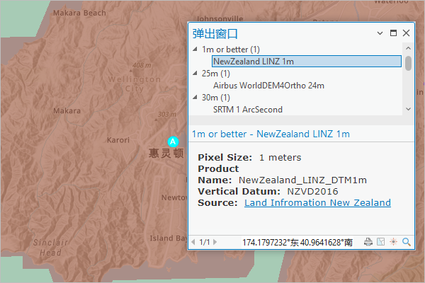 Elevation Coverage Map 图层放大到新西兰惠灵顿并显示弹出窗口