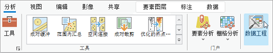 “分析”功能区选项卡上的“数据工程”按钮