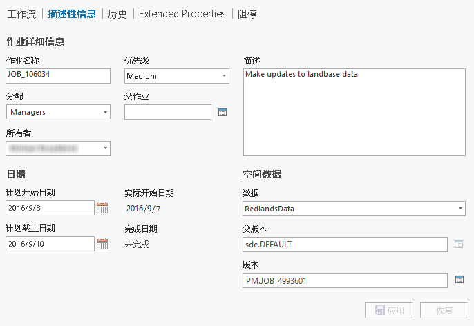 作业视图上的“描述性信息”选项卡