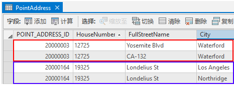 PointAddress 属性表的 POINT_ADDRESS_ID 字段用于链接相同位置的重复要素