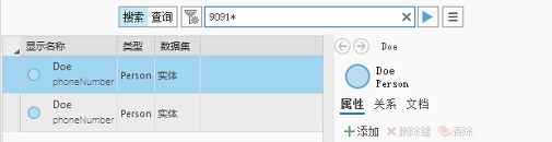 使用文本 9091* 的搜索返回了两个实体。