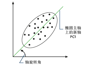 第一主成分