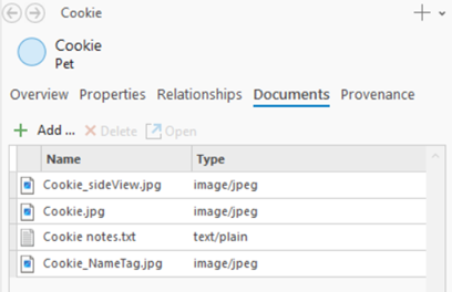 与当前实体关联的文档列在“文档”选项卡上。 与当前实体关联的文档列在“文档”选项卡上。