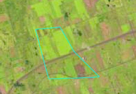 替换区域 替换区域